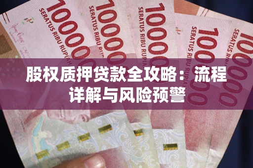 北京股权质押贷款全攻略：流程详解与风险预警