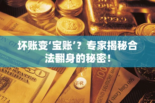 北京坏账变‘宝账’？专家揭秘合法翻身的秘密！