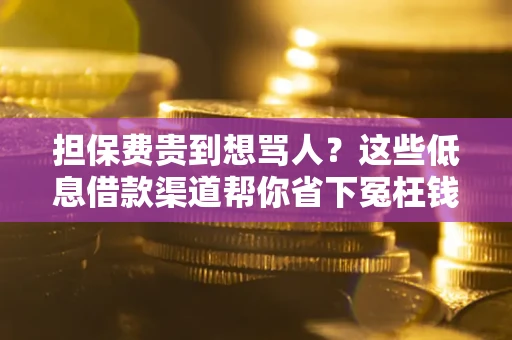北京担保费贵到想骂人？这些低息借款渠道帮你省下冤枉钱