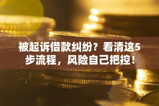 北京被起诉借款纠纷？看清这5步流程，风险自己把控！