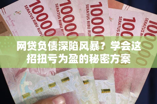 北京网贷负债深陷风暴？学会这招扭亏为盈的秘密方案