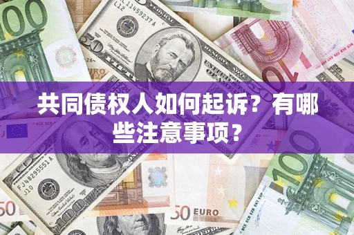 北京共同债权人如何起诉？有哪些注意事项？